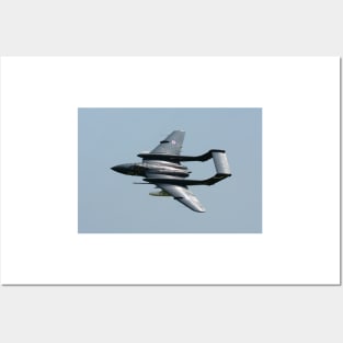 Sea Vixen Posters and Art